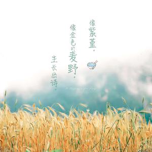 姬小满奖励别的男英雄
